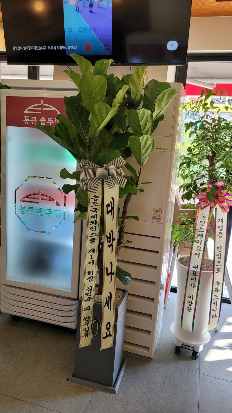 업로드 이미지