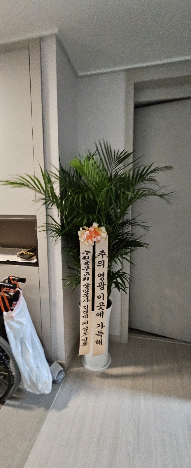 업로드 이미지