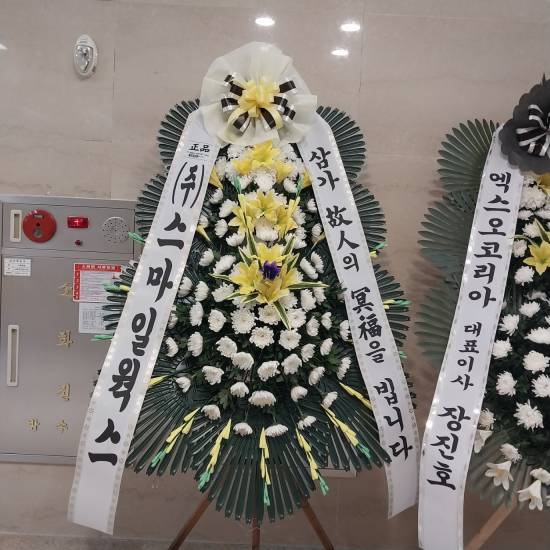 업로드 이미지