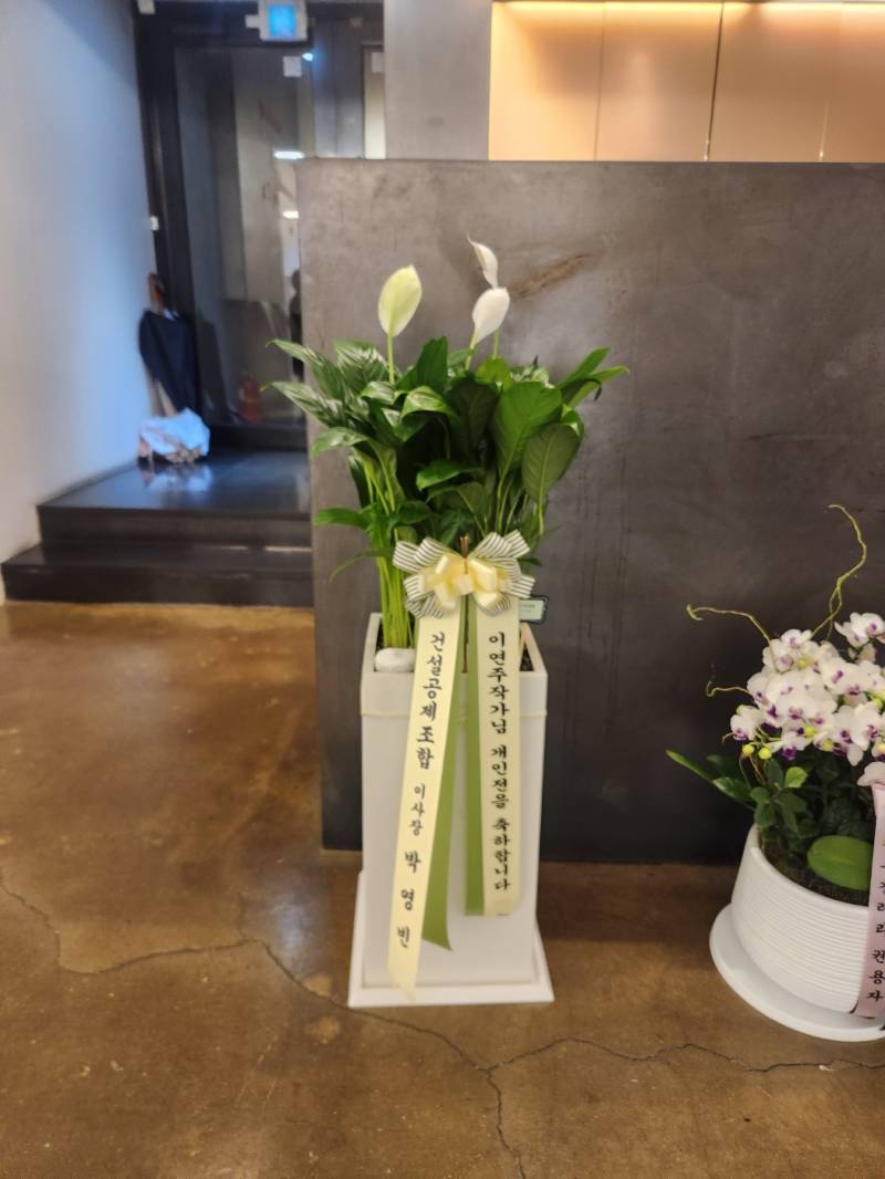 업로드 이미지