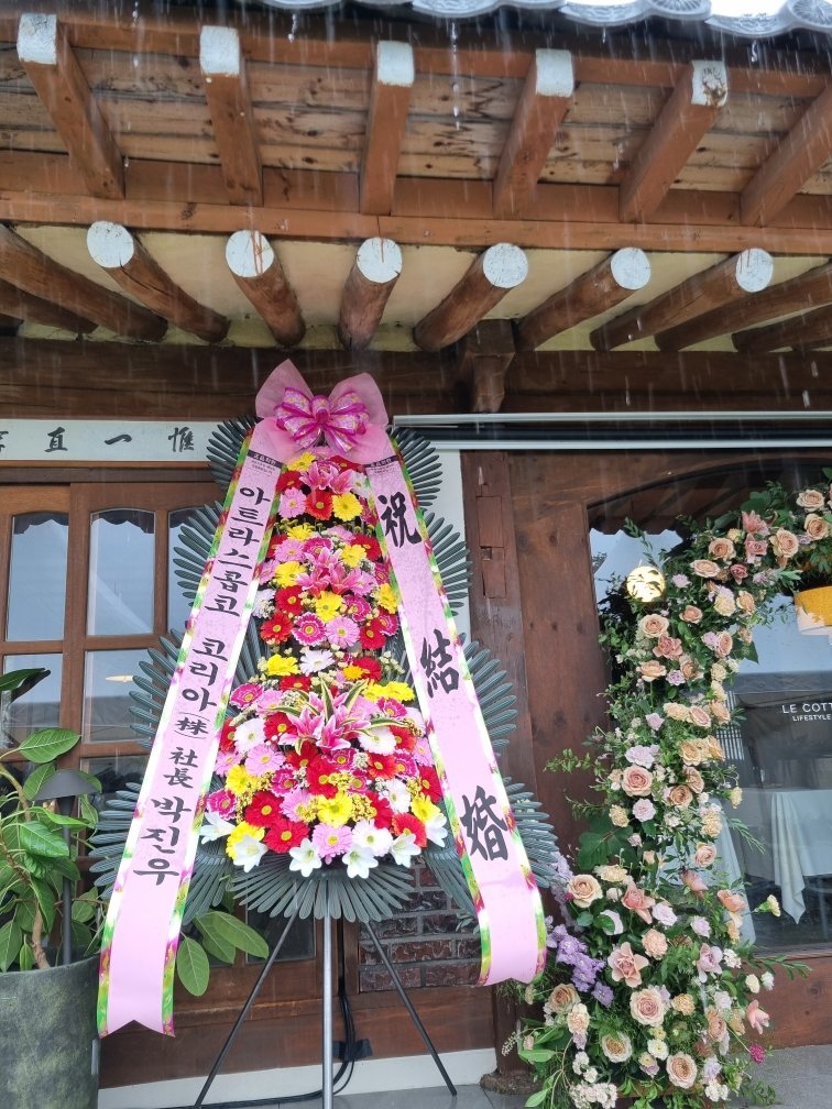 업로드 이미지