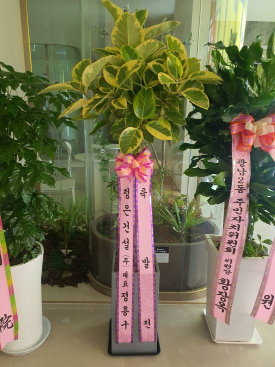 업로드 이미지