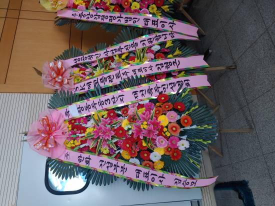 업로드 이미지