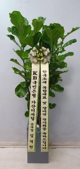 업로드 이미지