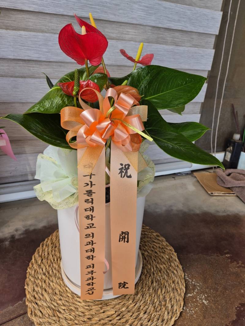 업로드 이미지