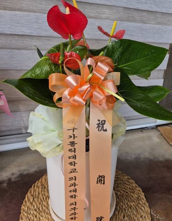 업로드 이미지