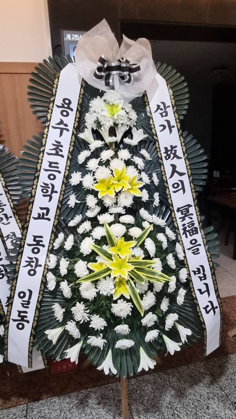 업로드 이미지