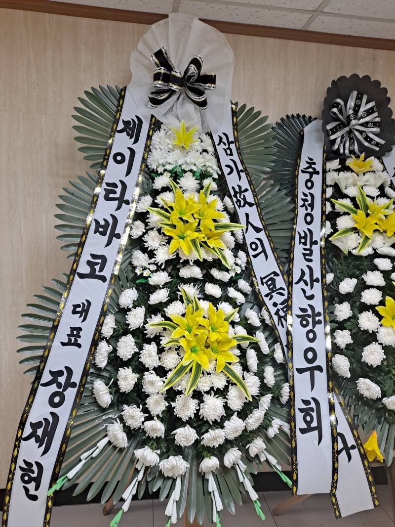 업로드 이미지