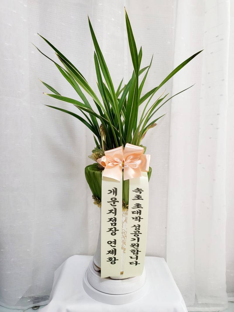업로드 이미지