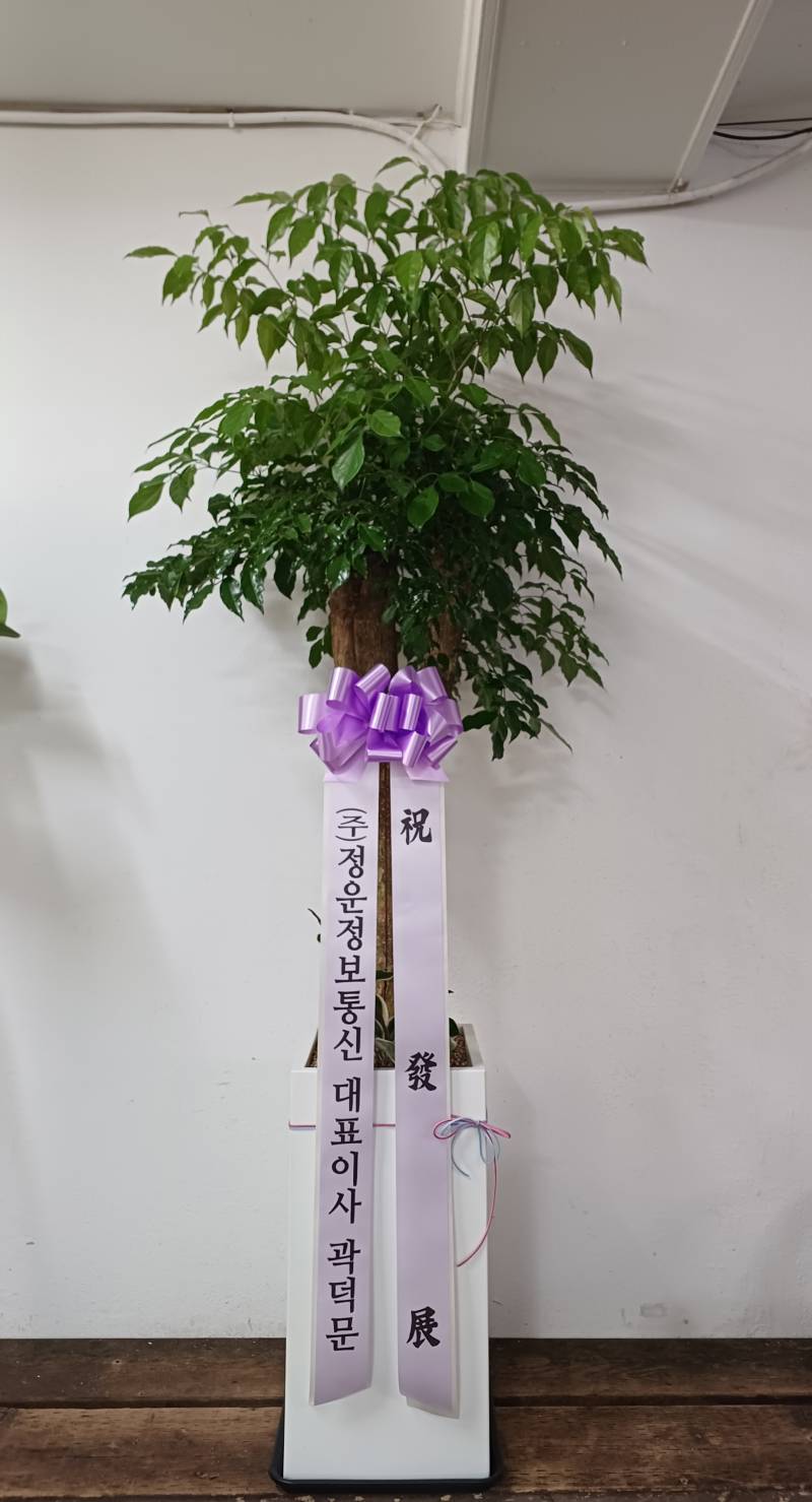업로드 이미지