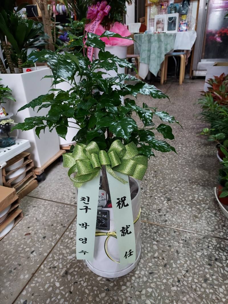 업로드 이미지