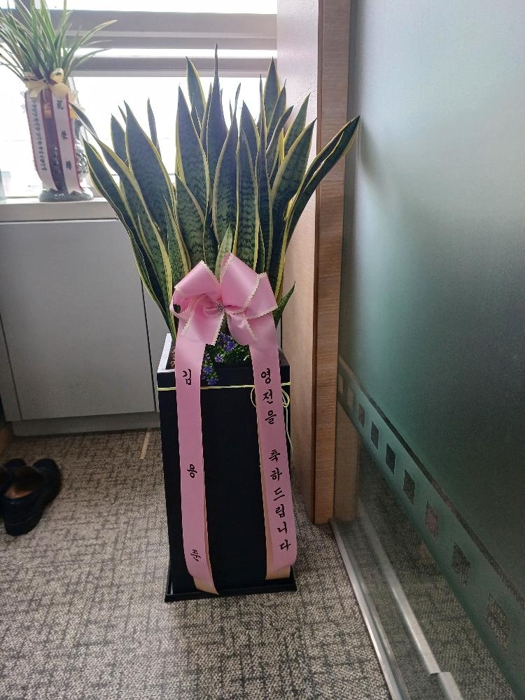 업로드 이미지