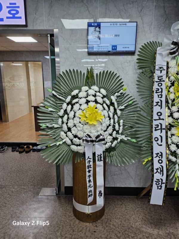 업로드 이미지