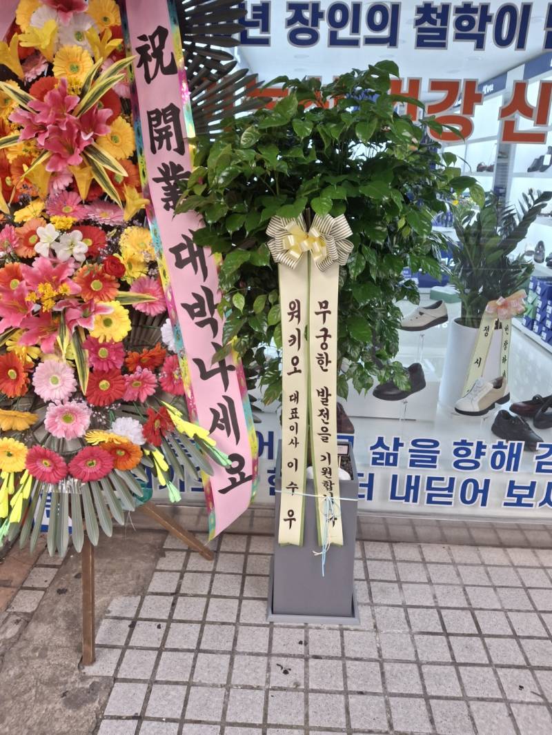업로드 이미지