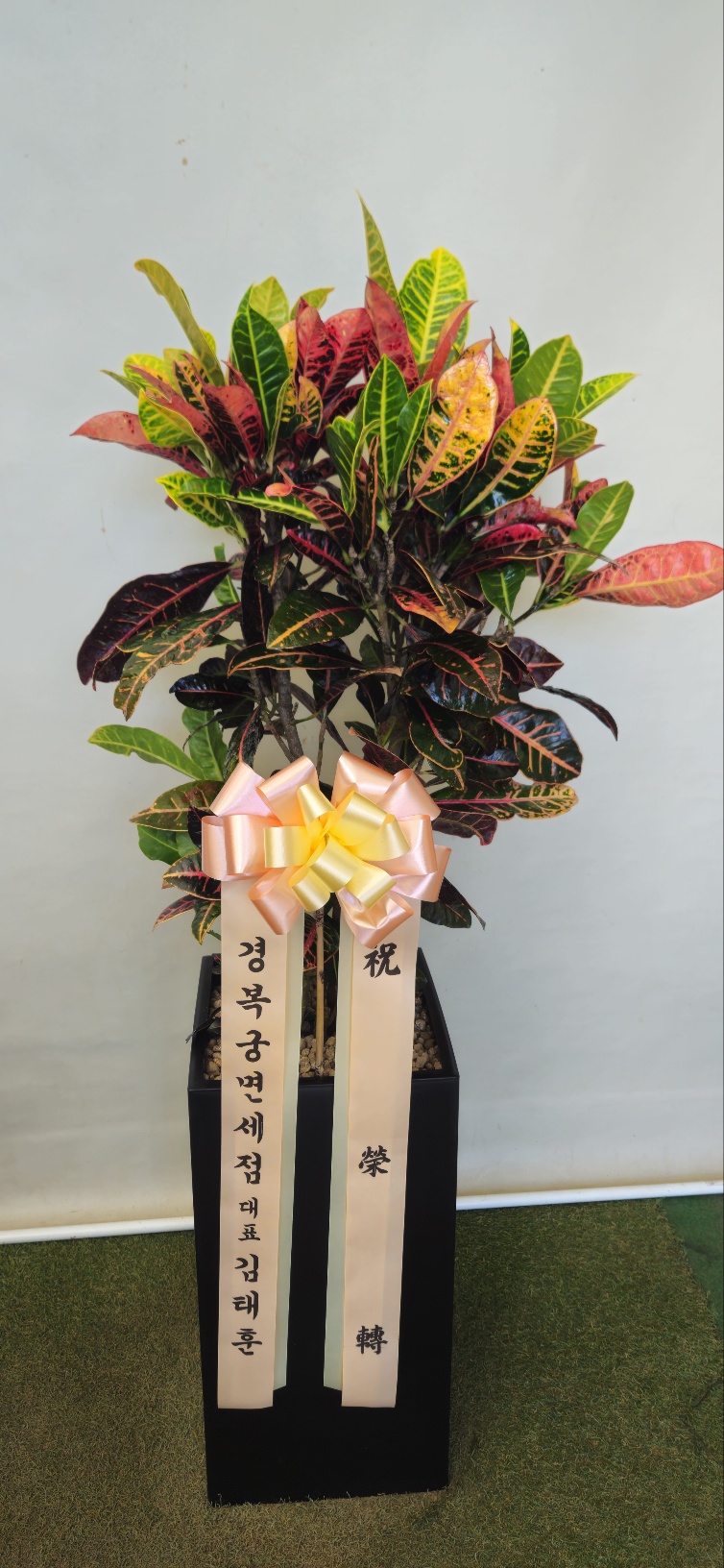 업로드 이미지