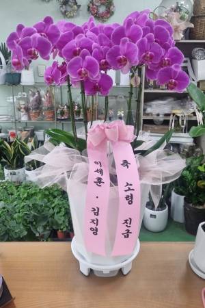 배송사진