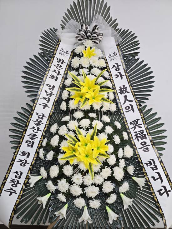 업로드 이미지