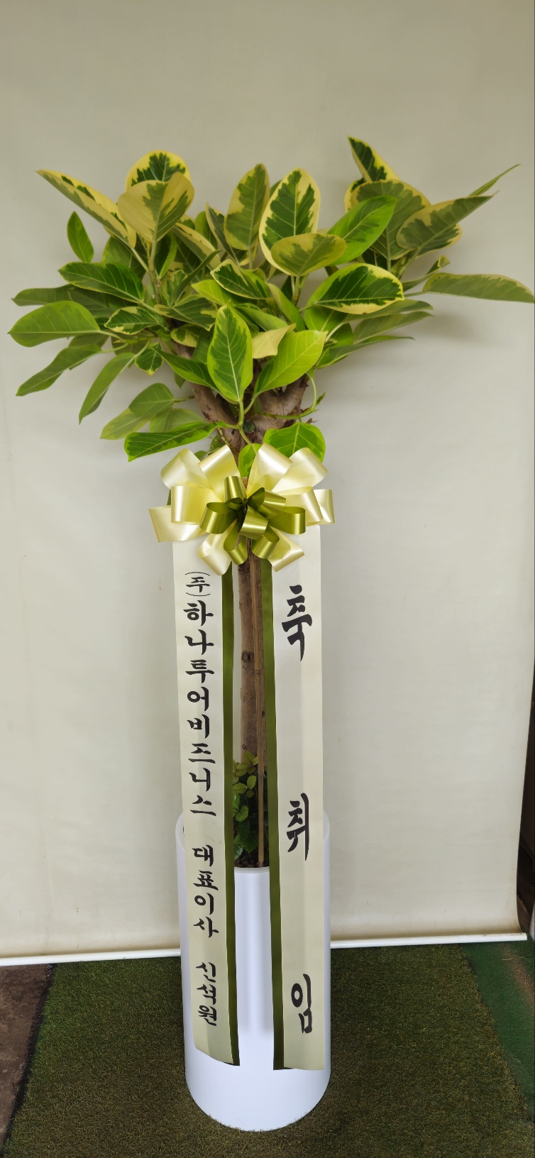 업로드 이미지