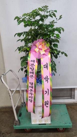 업로드 이미지