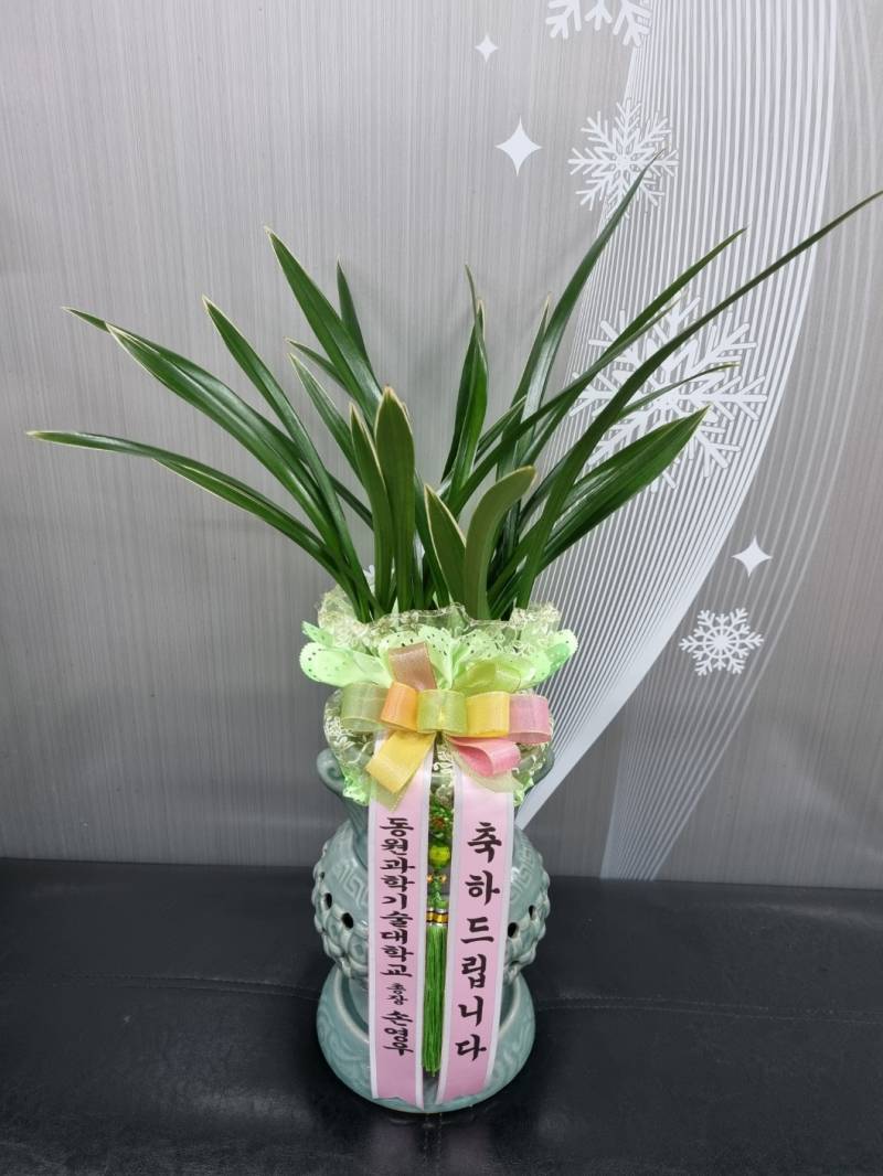 업로드 이미지