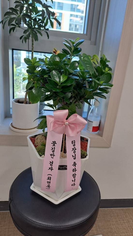 업로드 이미지