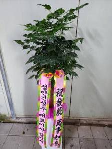 배송사진