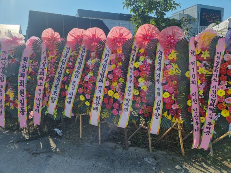 업로드 이미지