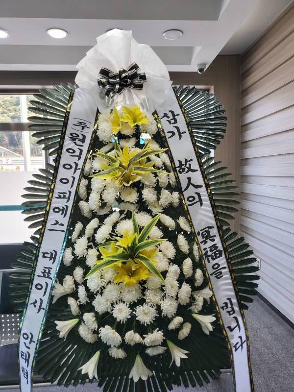 업로드 이미지