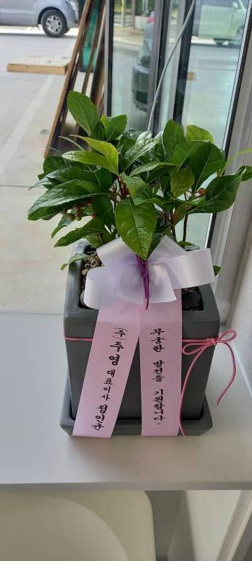 업로드 이미지