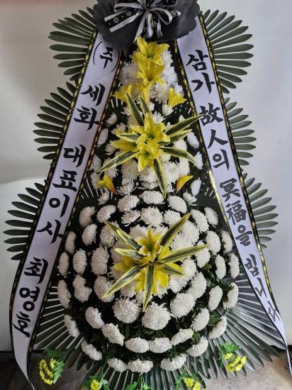 업로드 이미지