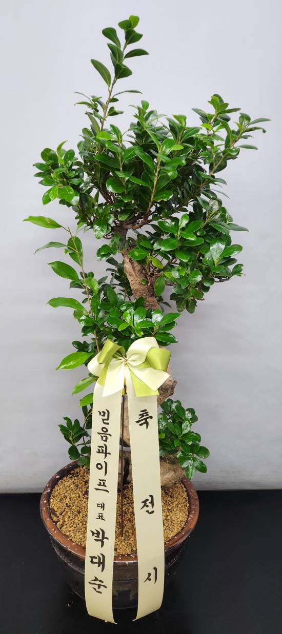 업로드 이미지