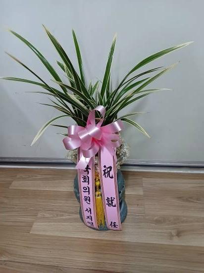 업로드 이미지