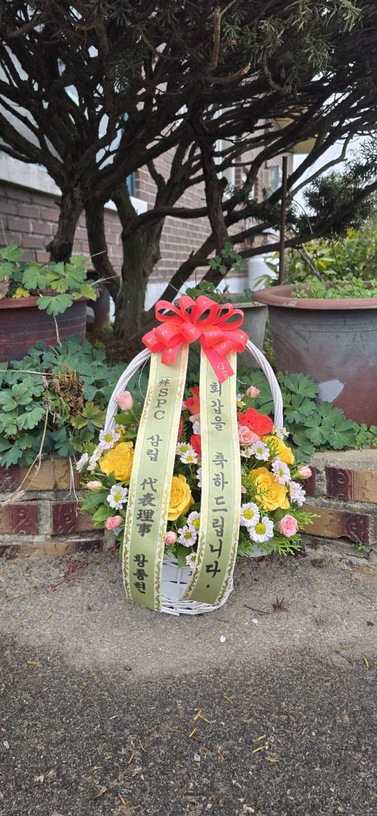 업로드 이미지