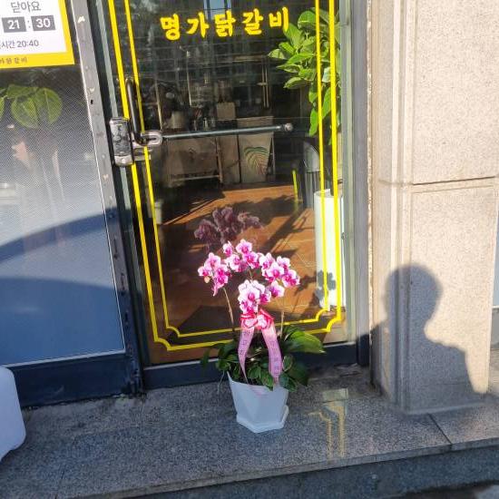 업로드 이미지