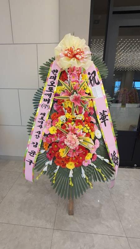 업로드 이미지