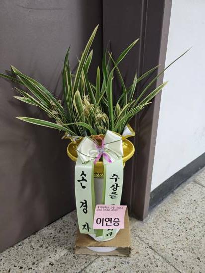 업로드 이미지