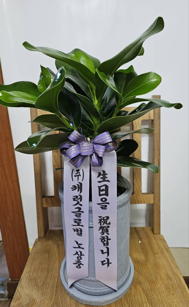 업로드 이미지