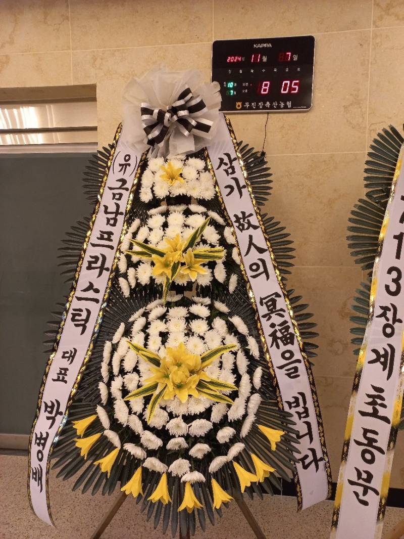 업로드 이미지