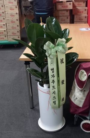 배송사진