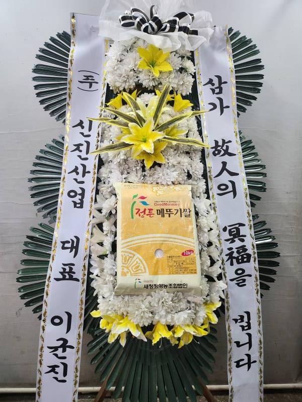 업로드 이미지