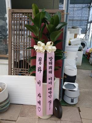 배송사진