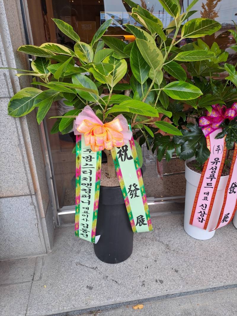 업로드 이미지