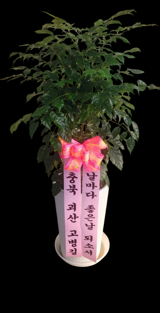 업로드 이미지