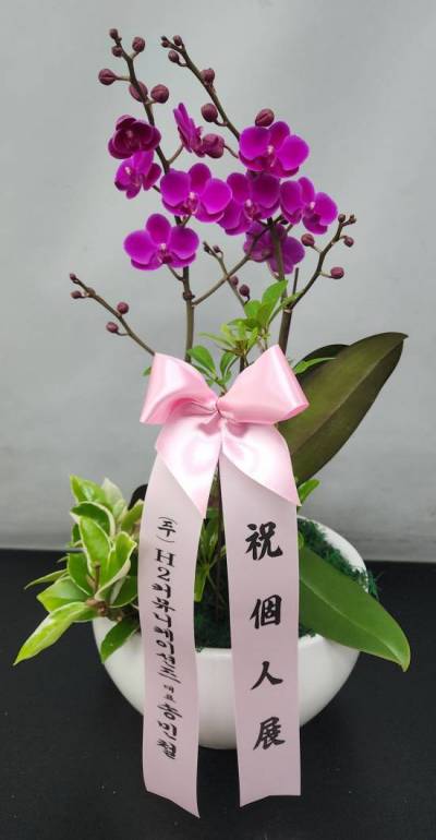 배송사진