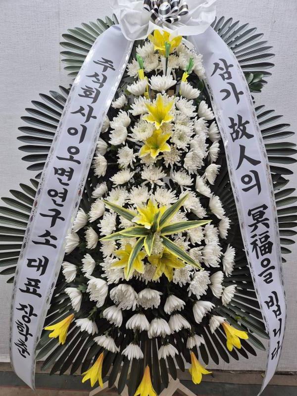 업로드 이미지