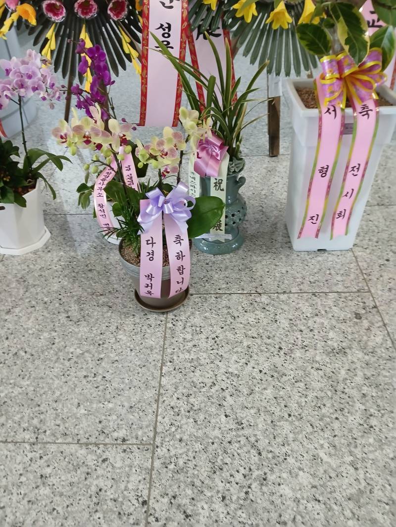 업로드 이미지