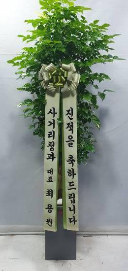 업로드 이미지