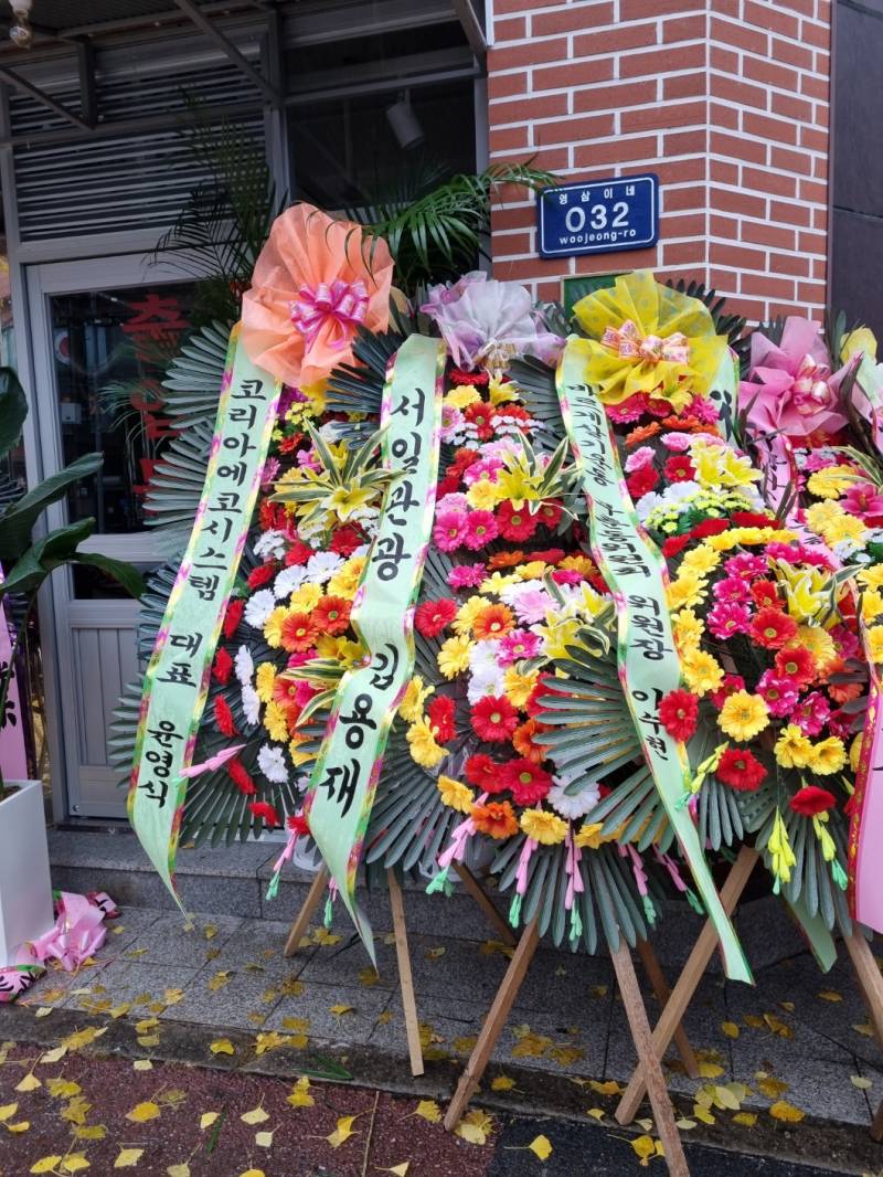 업로드 이미지