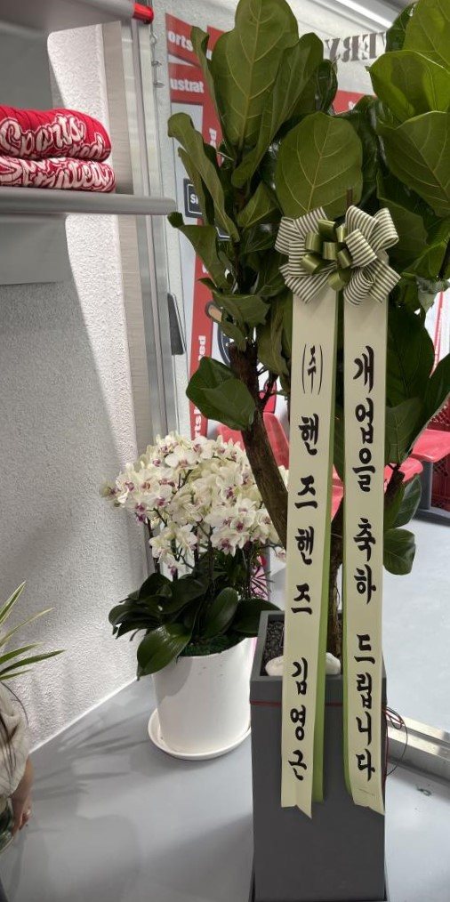 업로드 이미지