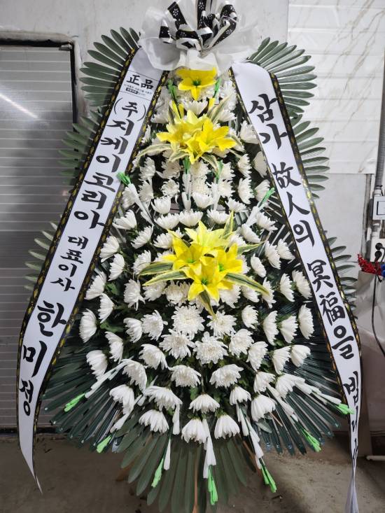 업로드 이미지